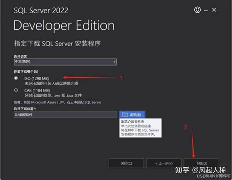 VS2022 SQL Server Tutorial 的图像结果
