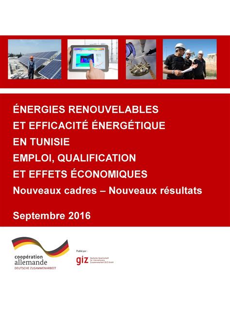 Renewable Energies and Energy Efficiency in Tunisia - Employment ...
