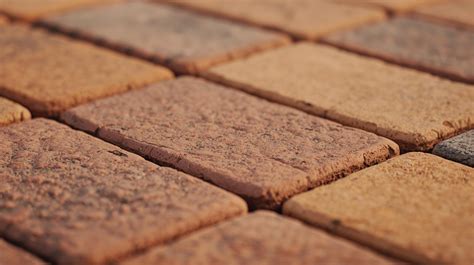 Image result for AutoCAD Civil 3D Basics