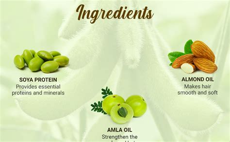 Buy Biotique Soya Protein Fresh Nourishing Shampoo | Repairs Dry and ...