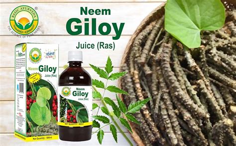 BASIC AYURVEDA Neem Giloy Juice (Ras) 500 Ml : Amazon.in: Grocery ...