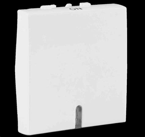 32A 2 Module DP Switch with Indicator White AHOMDIW321 - Electrical and ...