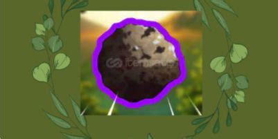 Sun Ore Demonfall 的图像结果