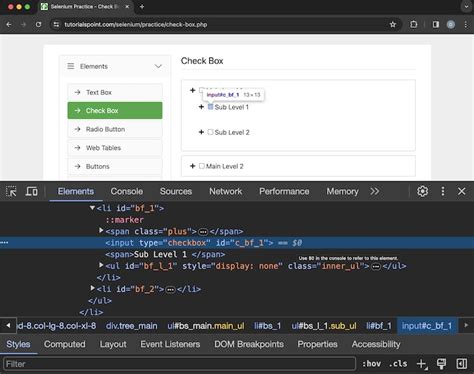 Example for XPath in Java Selenium 的图像结果