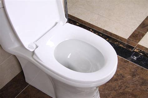 厕所堵了怎么办？通厕所最常见的两种方法-生活视频-搜狐视频