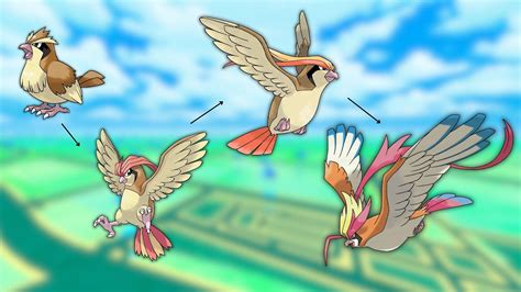 Pokemon Pidgeot Mega Evolution