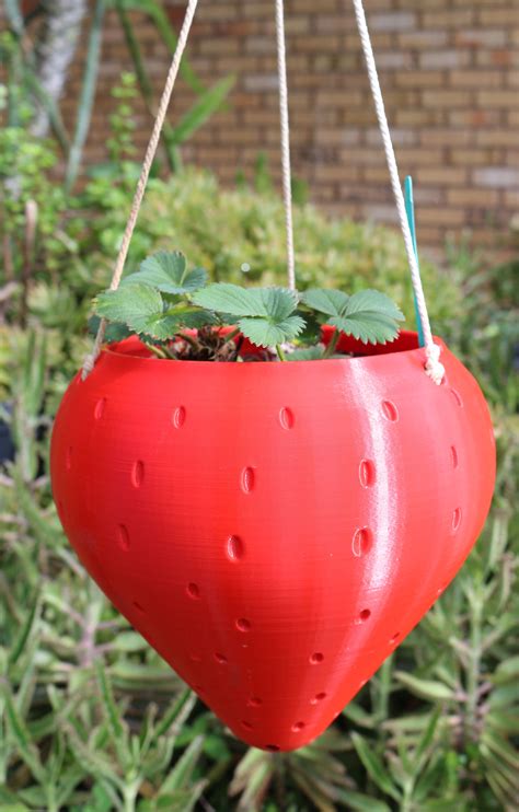 Making A Hanging Strawberry Planter at Tyler Cobb blog