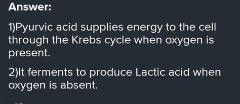 What happens to pyruvic acid in a plant cell? If (i) Oxygen is present ...