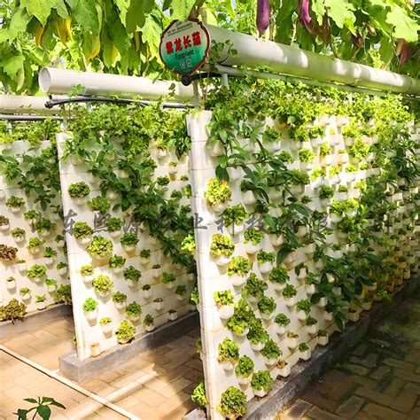 泡沫种植墙 立体种植泡沫栽培槽 基质土种植蔬菜 立体绿化无土栽培_卓采汇