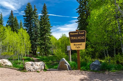 A Tree Falling: Maxwell Falls, June 2023