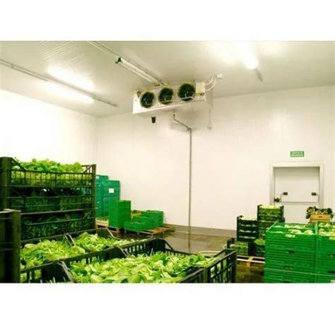 Fruit Ripening Chamber - Mango Ripening Chamber Trader - Wholesaler ...