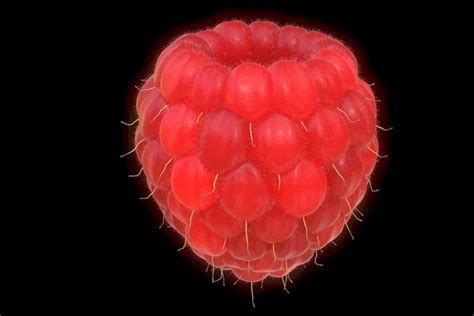 HelloIntern – Internships, Jobs & Career Growth Platform