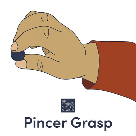 Pincer Grasp History at Paul Maxwell blog