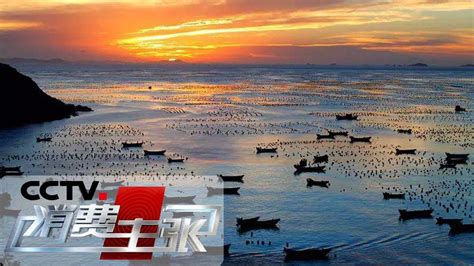 《消费主张》海鲜消费市场调查（下）：舟山渔场 20190924 | CCTV财经
