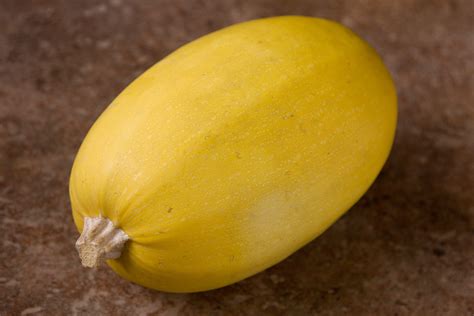 Yellow Squash Gone Bad at Natasha Barr blog