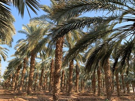 Desert BikeAir (Mitspe Ramon) - 2022 What to Know Before You Go (with ...