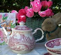 Image result for Tea Cup Bunny