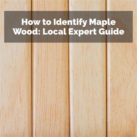 How to Identify Maple Wood: Local Expert Guide