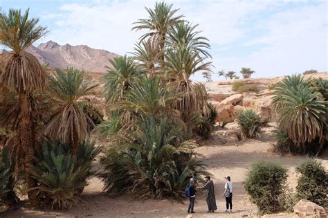 Fam El Hisn Tourism (2024): All You Need to Know Before You Go