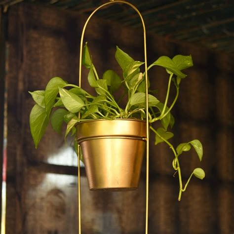 Buy Hanging Planters Online | LBB
