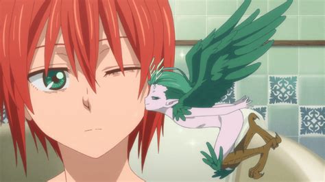 Image result for Magus Bride Anime