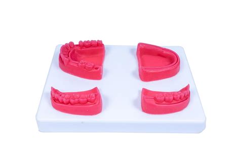 Meril Suture Practice Pad Dental Oral | 4 Different Types of Dental ...