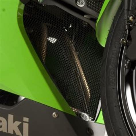 Buy R&G Downpipe Grille for Kawasaki Ninja 300 Online in India ...