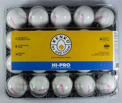Kenko By Ovo Farm Hi-Pro, Pack of 20 : Amazon.in: Grocery & Gourmet Foods