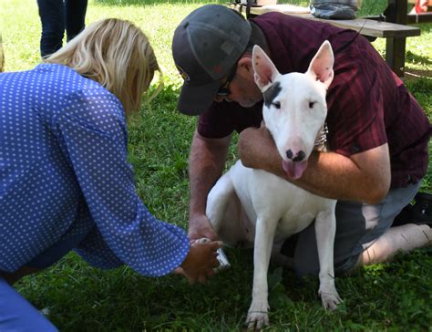 Willie, at Patton's side | Article | The United States Army