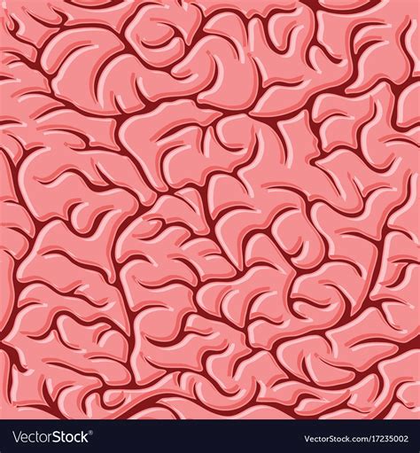 Brain Pattern Vector 的图像结果