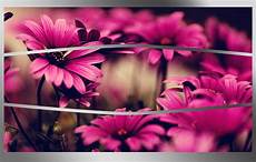 fucsia fiori quadro moderno trittico fiori fucsia fucsia fiori quadro moderno trittico fiori fucsia