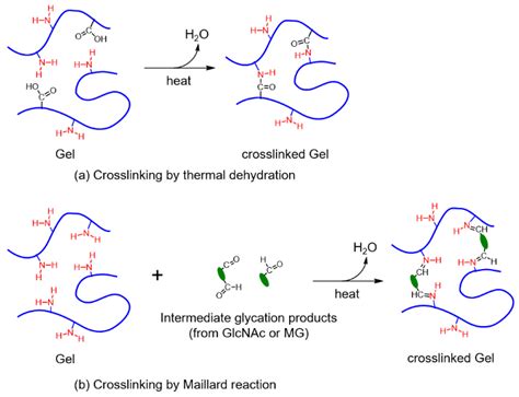 Preparation and Characterization of Crosslinked Electrospun Gelatin ...