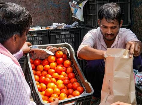 Tomato Price drop down Independence day gif government announcement to ...