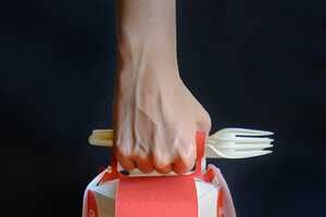 Clean the Sky - Eco-Friendly Takeout Packaging