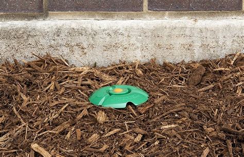 Anti-Termite Baiting System - Anti-Termite Baiting System Manufacturer ...