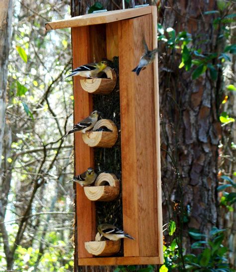Unique Bird Feeders, Wood Bird Feeder, Bird House Feeder, Large Bird ...