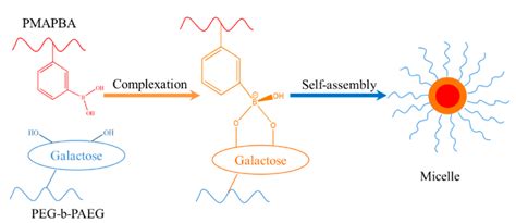 Stimuli-Responsive Macromolecular Self-Assembly