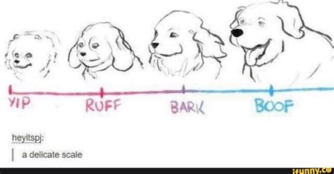 Image result for Scale Error Meme