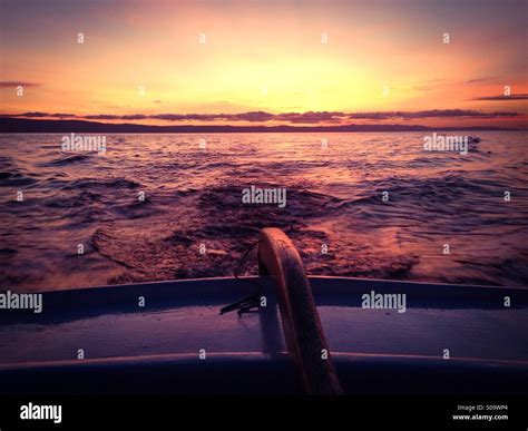 Sea Boat 的图像结果