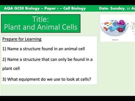 Cell Structure GCSE 的图像结果