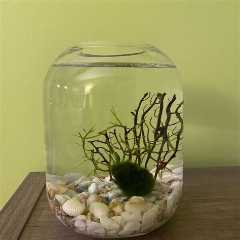 Image result for DIY Java Moss Decorations