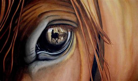 Facts About Horses Eyes | Fact About Horses | All About Horses Facts ...