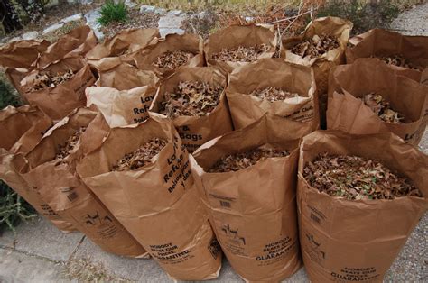 Image result for Yard Waste Disposal