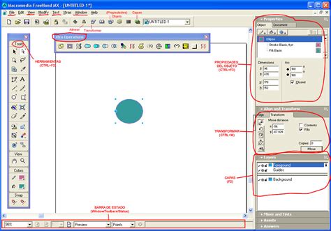 Image result for FreeHand Graphics