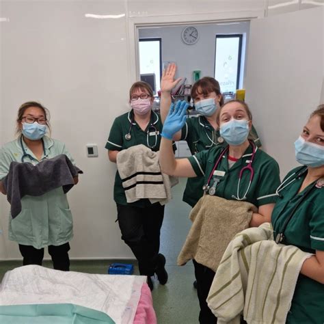 Small Animal Veterinary Surgeon - Norfolk - Salary of £40,000-£60,000 ...