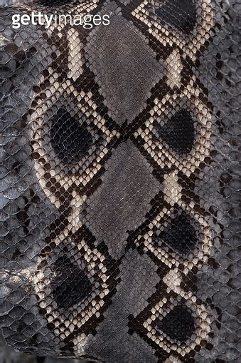 Python Texture 的图像结果