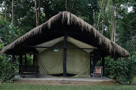 6 amazing jungle camps in India you must visit at least once - India Today
