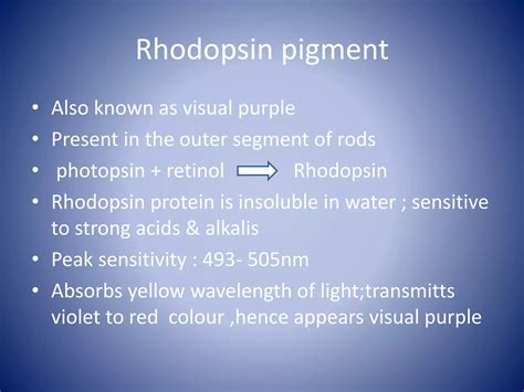 RETINA - anatomy & physiology | PPTX