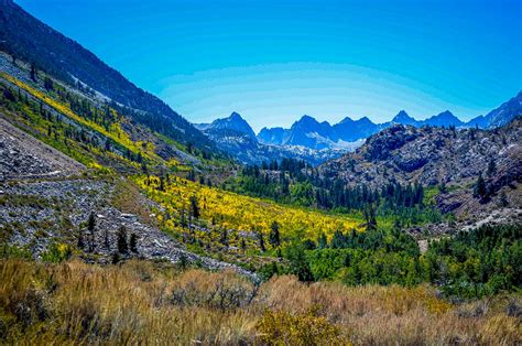 Bishop Creek Canyon: More Yellow Every Day – California Fall Color