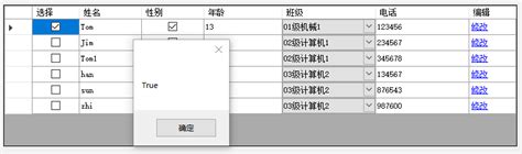 DataGridView Tutorial 的图像结果